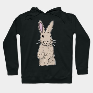 Grumpy Rabbit Holding Middle finger funny gift Hoodie